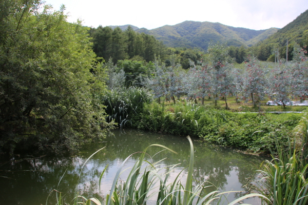 크???-사탼 ?뱩?.JPG