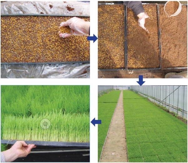 크???-젘별? 죹나챼 ?탠.jpg