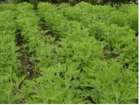 2둄생 4? 20? 생?상?-??? ?.jpg