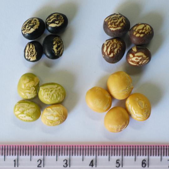 크? ??푄??풬?.jpg