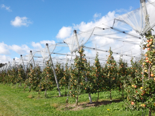 사?2.사탼 킽.jpg