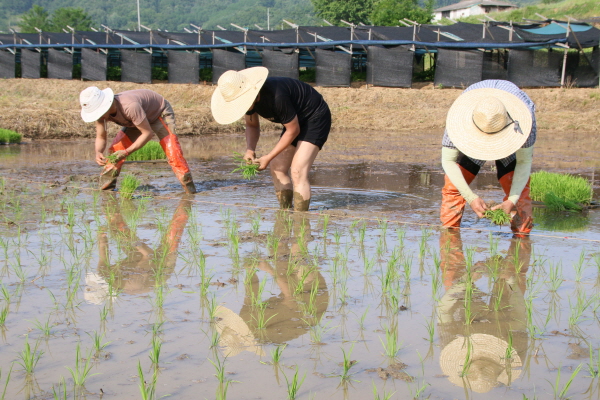 크? ??쒐?내?4.JPG