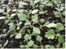 4? 28? ?? 2~3? 생?상태 ?? 4~5? 생?? 죝?.jpg