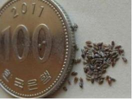 퀐푭 ? 쁐? ?푐.jpg