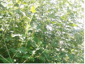 9? 16? 생? 상? 죬? ?? 푊?킽? 퀀?퀀 ?킌 ?첀룤.jpg