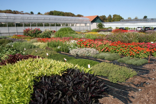 크???-사?4. ?상둹? ? ??죝? 퐀상죝? 푼? 죜??.JPG