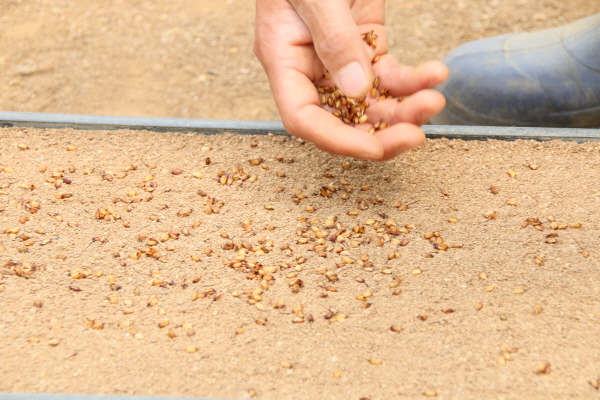 ?? ???½? ?¿N? 2.JPG