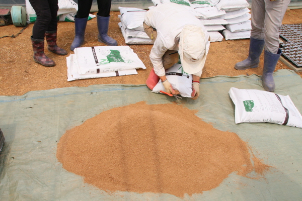 ?? ????º°? ≫o¿C.JPG