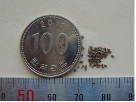 퀐푭? 100풽 크?? 풑.jpg