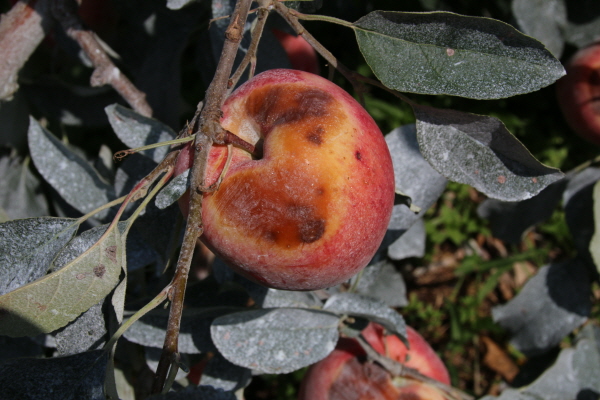 크???-사탼 ?사.JPG