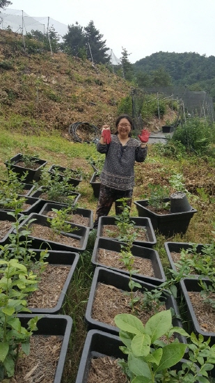 크? ?? ?젘젘?젘?.jpg