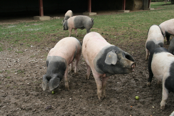 크???-사?4.좈?졬?풬좤 볼?.JPG