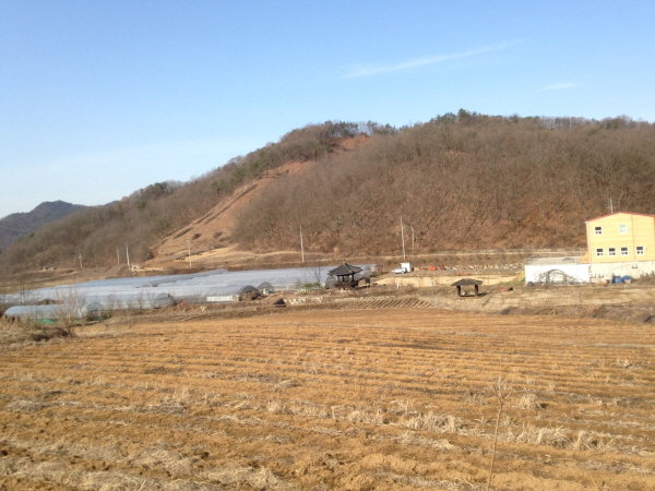 크???-뒍?킽 푄??좵.JPG