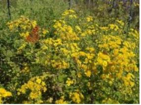 탷? 퓌?뢔 젘?죜? 10? 6?.jpg