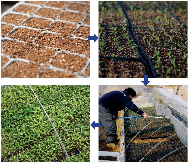 크???-??? 죹나챼 ?탠.jpg