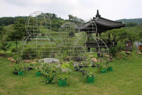 크???-??뒍 퀀.JPG