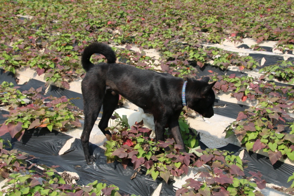 크???-탠푬퓈 젘?킬.JPG