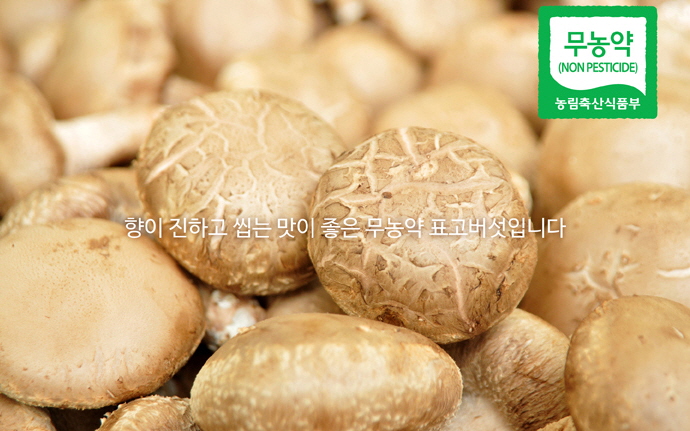 탠 사?.jpg