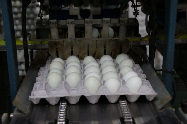 크???-??첀 ?좵.JPG