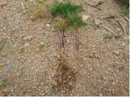 탠? 7? 22? ? 생?.jpg