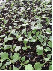 둸첑퀐푭 ? ? 29??.jpg