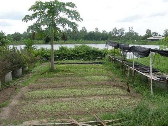 뒍퓈타? 뒍? 킽.jpg