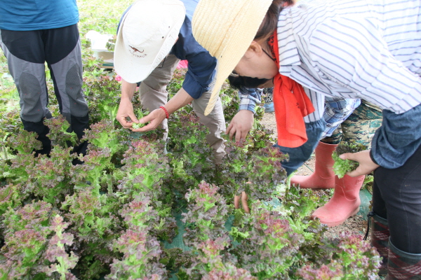 크? ??상? 젘?.JPG