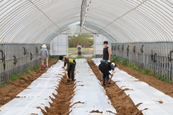 크? ??탠? 쁐쁑 퓌샤?.JPG