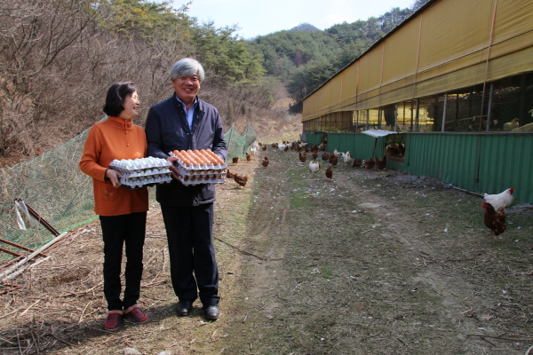 크???-?볙?퐨 ??.JPG