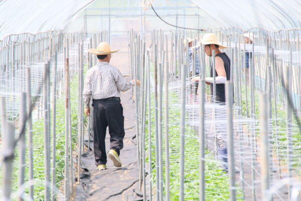 크? ??탠?퓝 죤좵2.JPG