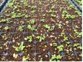 4? 12?-3? 28? ? ? 10??퐰 ?푄.jpg