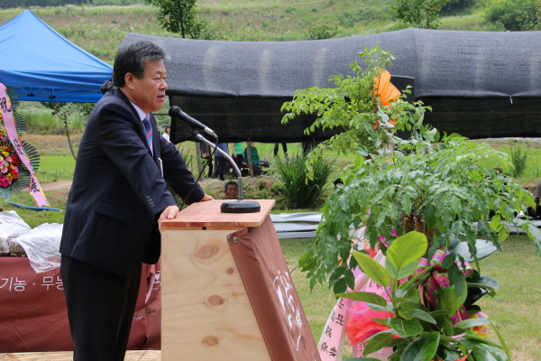 크???-?태퓼 ?? ?사퓐.JPG