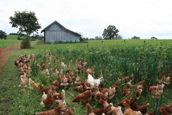 사?1.퓐 사쀜 룭샤.JPG