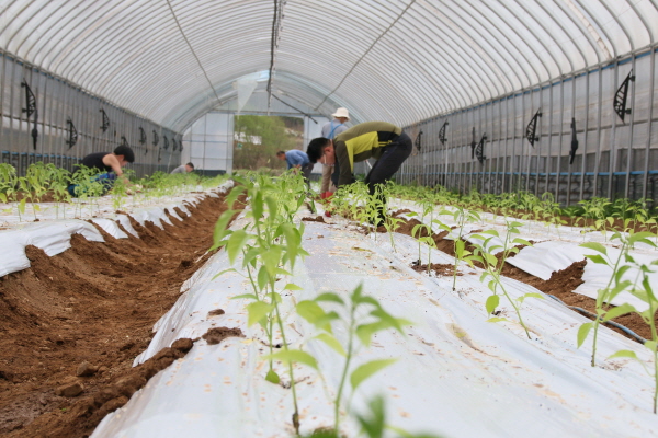 크? ??탠? 죝2.JPG