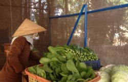 크???-볙남푄 뒍퓅.jpg