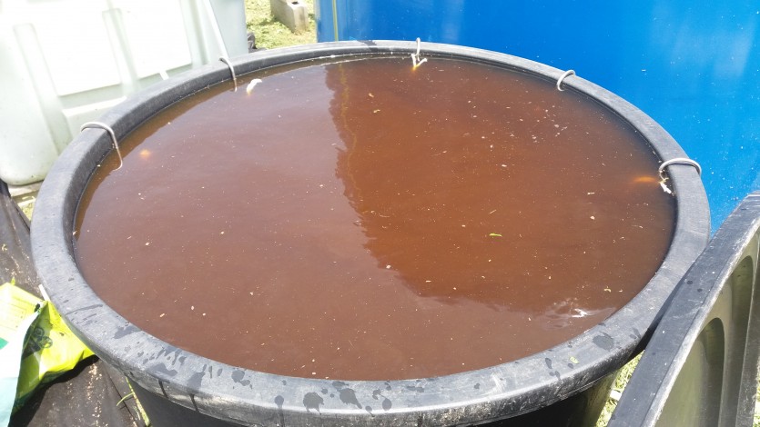 20190702_121622 ?þ³? ¿p? ?≫y? ?Ao ¿???.jpg