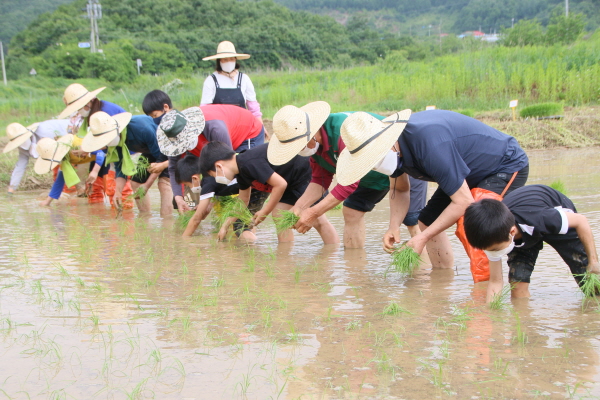 AZPM78298OLGOHPMSH4J.jpg AZPM78298OLGOHPMSH4J.jpg